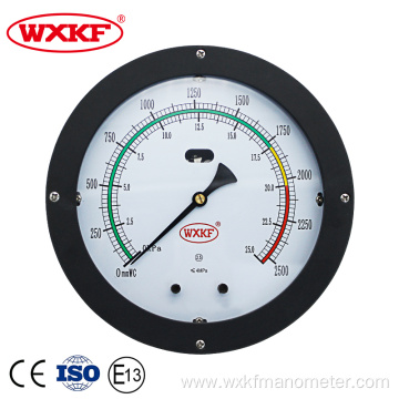 200mm Differential pressure level gauge